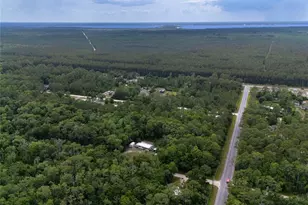 1528 Coconut Blvd, Bunnell, FL 32110 - Photo 3
