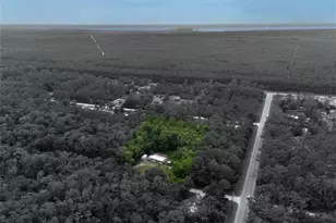 1528 Coconut Blvd, Bunnell, FL 32110 - Photo 5