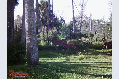 165 Willow Oak Way, Palm Coast, FL 32137 - Photo 27