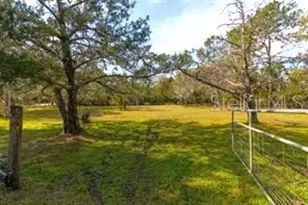 651 Old Haw Creek Rd, Bunnell, FL 32110 - Photo 29