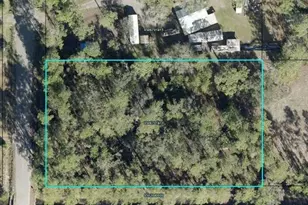 10570 Erikson Ave, Hastings, FL 32145 - Photo 1