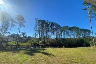 74 Emerson Dr, Palm Coast, FL 32164 - Photo 63