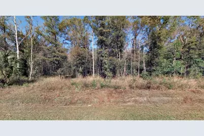4720 Jonathan Street, Hastings, FL 32145 - Photo 1