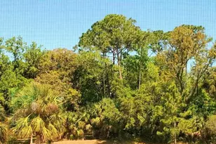 179 Misty Harbor Trace, Palm Coast, FL 32137 - Photo 25