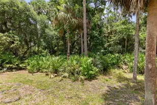 41 Auberry Dr, Palm Coast, FL 32137 - Photo 49