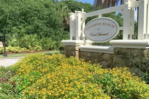 1100 Cinnamon Beach Way, Palm Coast, FL 32137 - Photo 55