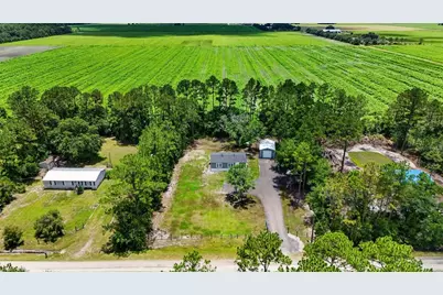 4825 Pecan Avenue, Bunnell, FL 32110 - Photo 3