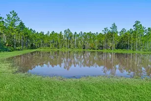 1341 Ribbon Pl, Palm Coast, FL 32164 - Photo 39