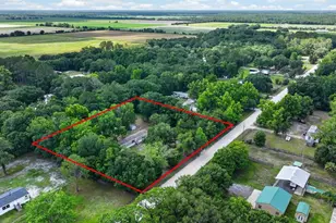 109 Bimini Ln, Bunnell, FL 32110 - Photo 39