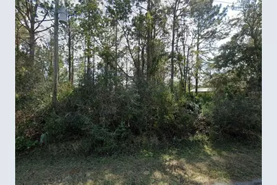 14 Ulawood Place, Palm Coast, FL 32164 - Photo 1