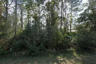 14 Ulawood Pl, Palm Coast, FL 32164 - Photo 1