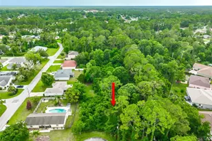 1 Pauline Pl, Palm Coast, FL 32164 - Photo 31