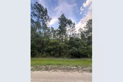 1411 Elder Street, Bunnell, FL 32110 - Photo 1