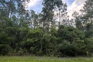 1411 Elder St, Bunnell, FL 32110 - Photo 1
