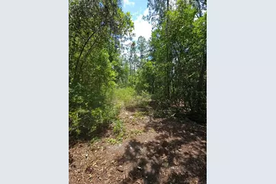 1411 Elder Street, Bunnell, FL 32110 - Photo 7