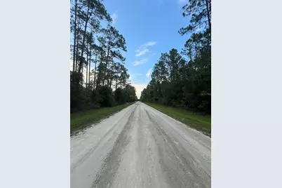 1411 Elder Street, Bunnell, FL 32110 - Photo 5