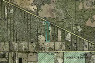 4297 W Hwy 100, Bunnell, FL 32110 - Photo 1