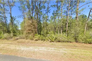 4297 W Hwy 100, Bunnell, FL 32110 - Photo 1