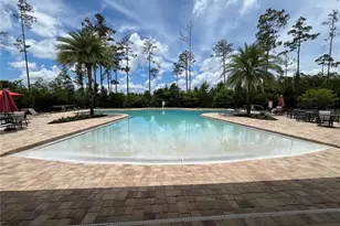 111 S Hummingbird Pl, Palm Coast, FL 32164 - Photo 53