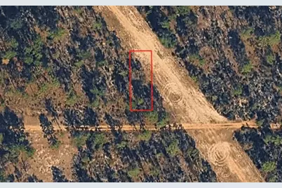 Xx Birch Ave, Interlachen, FL 32148 - Photo 1