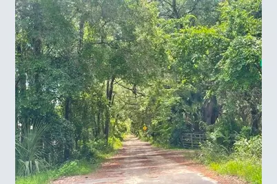2075 Country Road 75, Bunnell, FL 32110 - Photo 5
