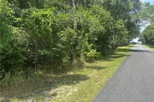 3118 E Deal St, Inverness, FL 34453 - Photo 1