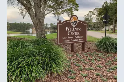 1117 Hansberry Court, Ormond Beach, FL 32174 - Photo 47