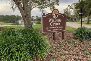1117 Hansberry Ct, Ormond Beach, FL 32174 - Photo 47