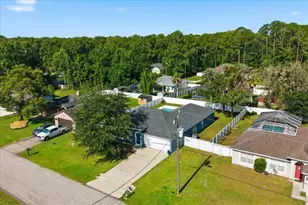41 Zephyr Lily Trail, Palm Coast, FL 32164 - Photo 61