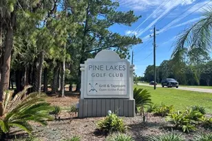 18 Mt Vernon Ln, Palm Coast, FL 32164 - Photo 37
