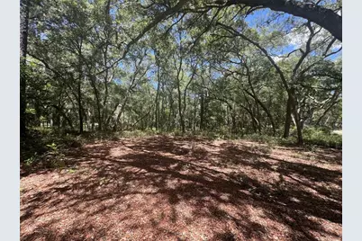 1425 Renbar Road, De Leon Springs, FL 32130 - Photo 11