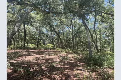 1425 Renbar Road, De Leon Springs, FL 32130 - Photo 5