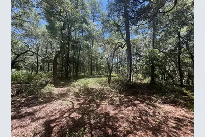 1425 Renbar Road, De Leon Springs, FL 32130 - Photo 15