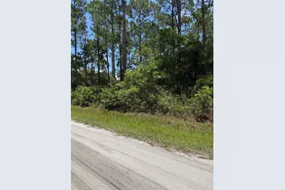 1115 Birch Street, Bunnell, FL 32110 - Photo 3