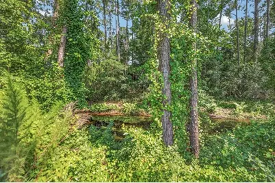 14 Woodworth Drive, Palm Coast, FL 32164 - Photo 53