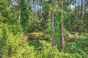 14 Woodworth Dr, Palm Coast, FL 32164 - Photo 53