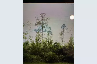 County Road 305, Bunnell, FL 32110 - Photo 1