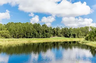 40 Mulligan Wy, Bunnell, FL 32110 - Photo 49