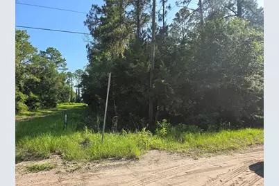 5446 Mango Avenue, Bunnell, FL 32110 - Photo 3