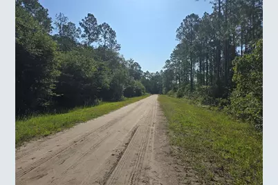 5446 Mango Avenue, Bunnell, FL 32110 - Photo 15