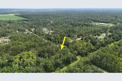 5446 Mango Avenue, Bunnell, FL 32110 - Photo 11