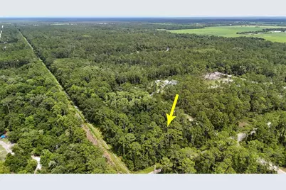 5446 Mango Avenue, Bunnell, FL 32110 - Photo 9