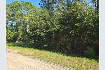 5446 Mango Avenue, Bunnell, FL 32110 - Photo 17