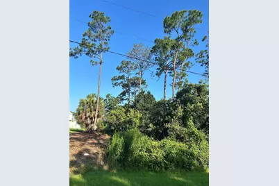 4 Ryberry Drive, Palm Coast, FL 32164 - Photo 3
