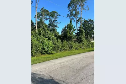 4 Ryberry Drive, Palm Coast, FL 32164 - Photo 9