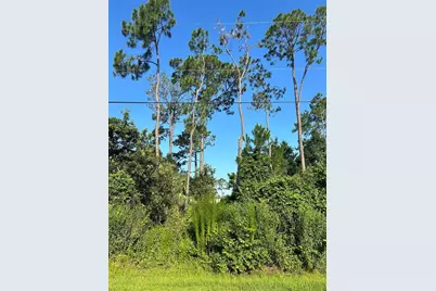 6 Ryberry Drive, Palm Coast, FL 32164 - Photo 3