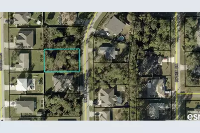 6 Ryberry Drive, Palm Coast, FL 32164 - Photo 7