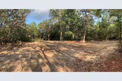 132 SW 52nd Avenue, Interlachen, FL 32148 - Photo 5