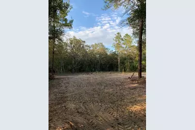 132 SW 52nd Avenue, Interlachen, FL 32148 - Photo 7