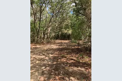 132 SW 52nd Avenue, Interlachen, FL 32148 - Photo 3